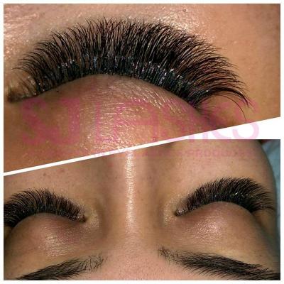 China 2D-10D Eyelash Extension 0.03/0.05/0.07/0.10/0.12/0.15/0.18/0.20/0.25/0.30 Korean Thick Lash Extensions Multilayer for sale