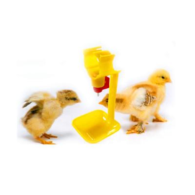 China Super farm poultry equipment and automatic chicken drinker and feeder for sale à venda