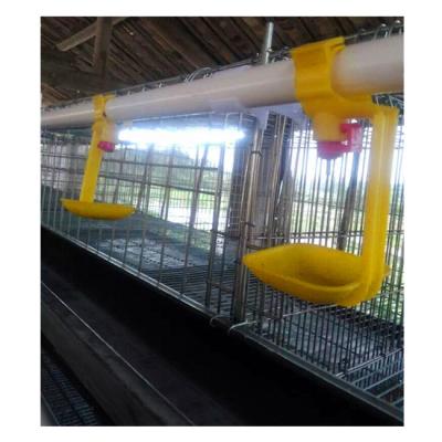 China Nipple Drip Cup Poultry Chicken Bird Quail Drinker Waterer Automatic Water Feeder à venda