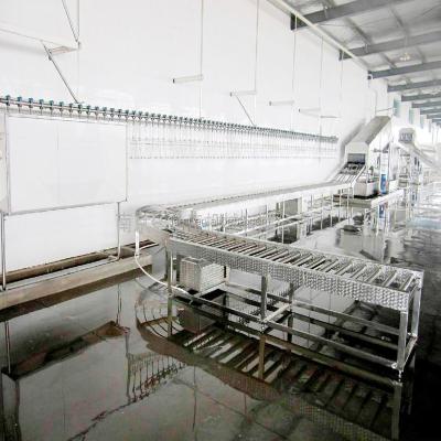 China high quality chicken slaughter line/slaughterhouse equipment Te koop