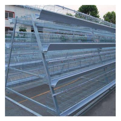 China automatic poultry house design for 10000 chicken for sale