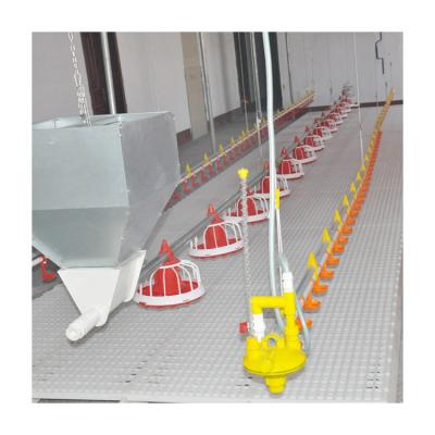 China Efficient breeding automatic Plastic Poultry Feeder raising equipment floor feeding system zu verkaufen