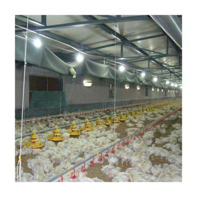 China Outstanding quality chicken floor raising equipment floor feeding system zu verkaufen