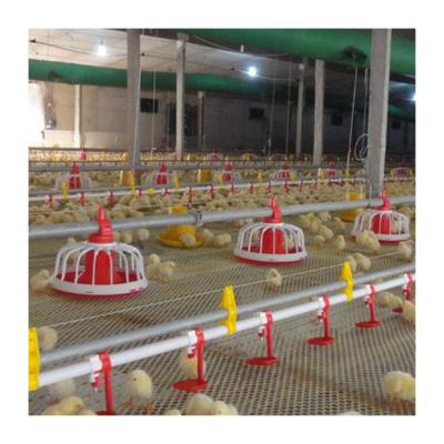 China Automatic type floor feeding system broiler floor ground feeding system plan design zu verkaufen