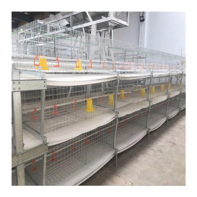 중국 Manual animal cage semi-automatic chicken cage fully automatic broiler cage hot sale 판매용