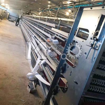 China H-wire mesh metal Quail Breeding Cages and fully automatic quail cages are poprula on quail farms zu verkaufen