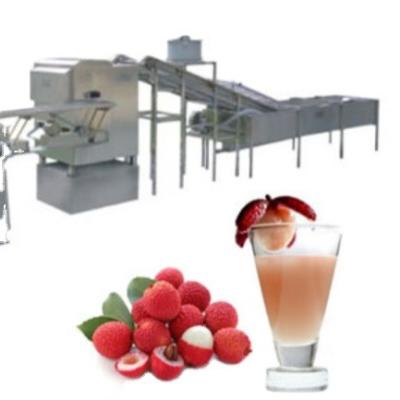 China Small Fruit Scale Condensed Juice Aseptic Bag Filling Making Machine for sale