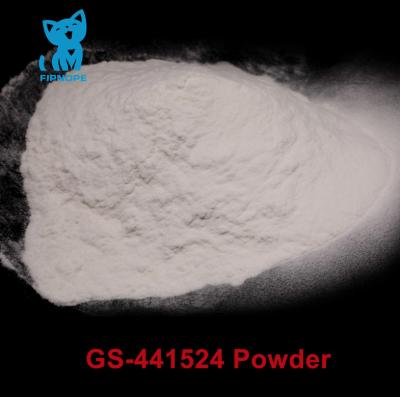 China 99% Purity GS441 Powder For Cat FIP Cure Ship To USA Italy Poland No Customs Clearance Required for sale