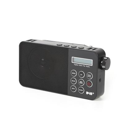 China DAB FM 2 BANDS DAB FM Radio Portable Radio With Alarm Clock Auto Scan Radio Digital Play Radio for sale