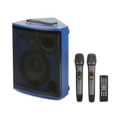 China High Class Wireless Speakers Smart Portable Wireless Private Mold Party Speaker With Dual Microphone for sale