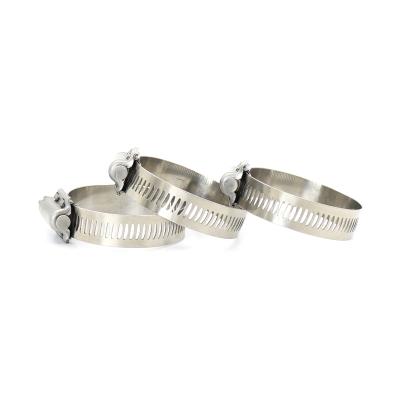 China High Quality American Type 12.5/14.2mm Bandwidth Hose Clamp High Pressure Auto Parts For Engine for sale