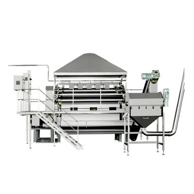 China Oat Flakes Items Best Selling Oats Oatmeal Scrub Production Line For Sale for sale