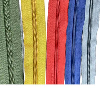 China Professional Custom Color Long Chain 5 Nylon Auto Lock Zipper By The Yard For Home Textile for sale