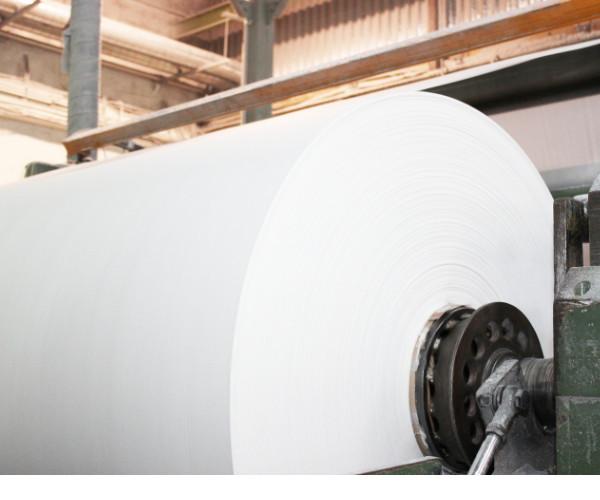 Fornitore cinese verificato - China Paper Company Limited