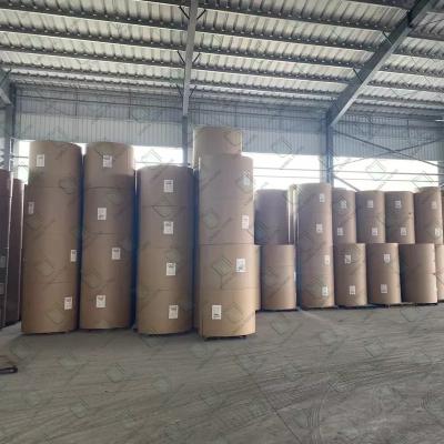 China White 70gsm High Wet Strength Paper Jumbo Roll For Beer Label for sale