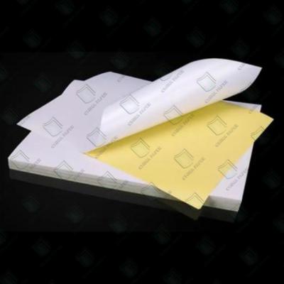 China Plain White Self Adhesive Thermal Sticker Paper Rolls For Barcode Label for sale