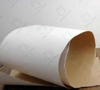 Chine 300GSM Carton d'emballage liquide Emballage alimentaire Kraft Back LPB pour le jus de lait à vendre