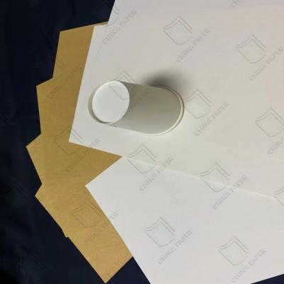 China Reliable PE Coated Cupstock Board for High-Performance Cup Manufacturing for sale