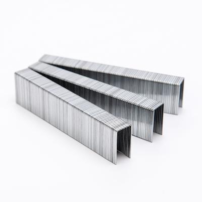 China Material of Construction Galvanized Staples 422J Series Staples in Silver Color for sale