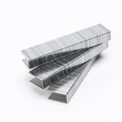 China Zinc Flat Thick Layer And Staples 1010F Series Preservative Clips for sale