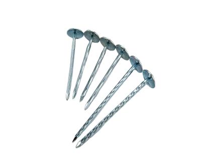 China Flared Umbrella Coil Roofing Nails Iron Material Galvanized Roofing Nails Coil Type Roofing Nails for sale