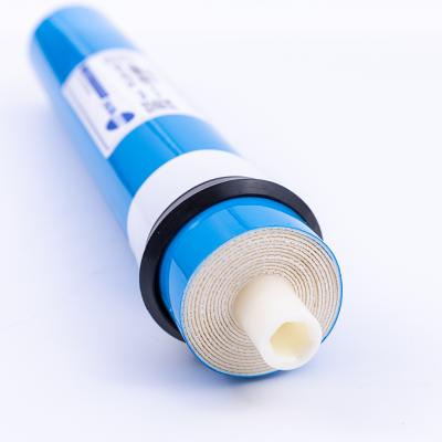 China 2012 Residential Water Filter Hotel HID 100gpd RO Membrane With Housing OEM ODM for sale