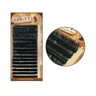 China Professional Wholesale Lashes Natural LA Eyelash Extensions Lashes for sale