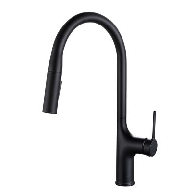 China Modern Lower Neck Single Tap 304 Stainless Steel Goose Handle Hot Cold Water Kitchen Faucet for sale