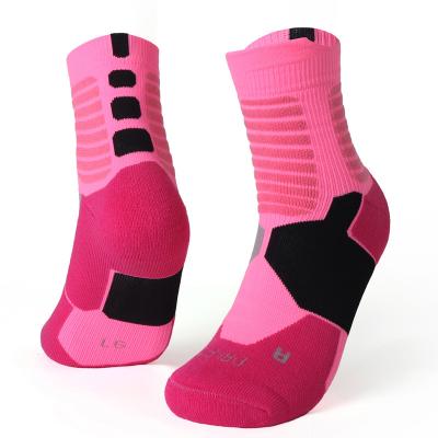 China Breathable Comfort Cushioned Breathable Low Cut Ankle Athletic Performance Sport Running Socks for sale