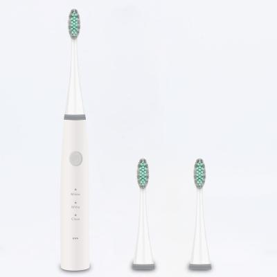 China Household Private Label Electric Toothbrush Wholesale Eco-friendly Customized Teeth Whitening Toothbrushes for sale