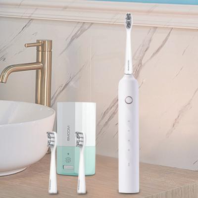 China Teeth Whitening Best Tooth Base Brush Rechargeable Sonic Electric Toothbrush Adult Teeth Timer for sale