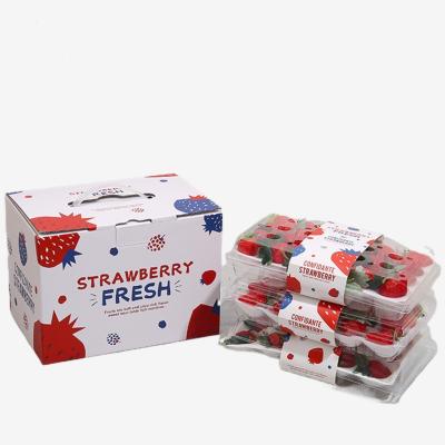 China Wholesale Recyclable Luxury Corrugated Strawberry Separation Fresh Fruit Packaging Box for sale