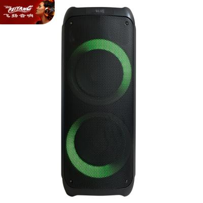 China Hot Sale Dual 12 Inch TWS LED Flashing Light Feiyang Large Portable Handheld Subwoofer Multifunctional Speaker With Disco Led Light Up Display for sale