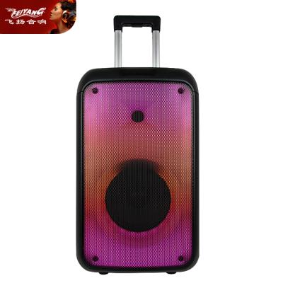 China Outdoor Flashing Light BT Wireless Speaker Mic Sound Speaker Portable LED Karaoke Outdoor 8 Inch Party Flame Box Trolley Speaker for sale