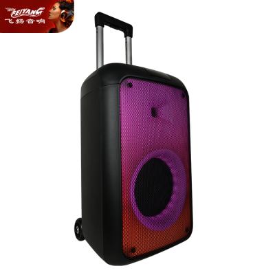 China 8 Inch LED Flashing Light Manufacturer Subwoofer Large Portable Radio BT PA DJ Bass Party Karaoke Powered Outdoor Speaker for sale