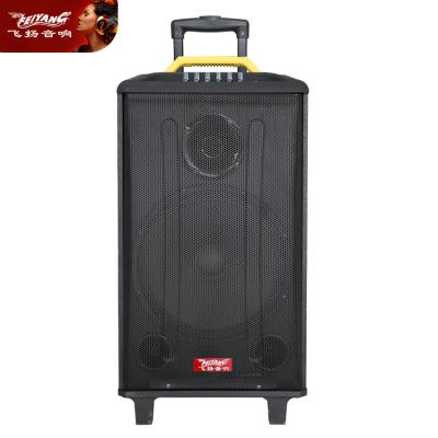 China PRO Loud Wireless Speaker BT TWS Karaoke Music Digita Garden Double 10 Inch Amplifier BT Cart Dancing Wooden Magnetic Dolby Light for sale