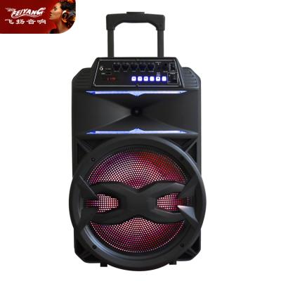 China LED Flashing Light Trolley Outdoor Speaker Feiyang 12 Inch Karaoke Subwoofer TWS Portable Home Speaker With Wireless MIC for sale