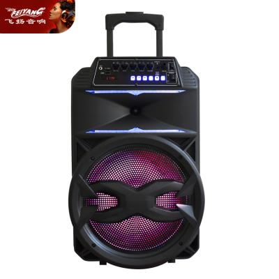 China Outdoor LED Flashing Light Feiyang 12 Inch AL12-02 TWS DC Powered Portable Trolley BT Party Speaker With Led Light for sale