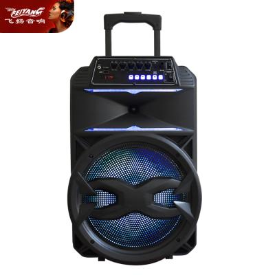 China Flashing Light Portable 4ohm LED Light Audio Power 12 Inch Trolley Speaker Soundbox Handle Speaker Outdoor Disco Speaker Pro for sale