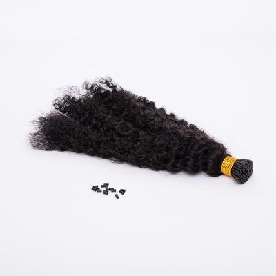 China Curly Curly Cuticle Aligned Raw Hair I Tip Extension Virgin Hair 3C Curly Curly Curly for sale