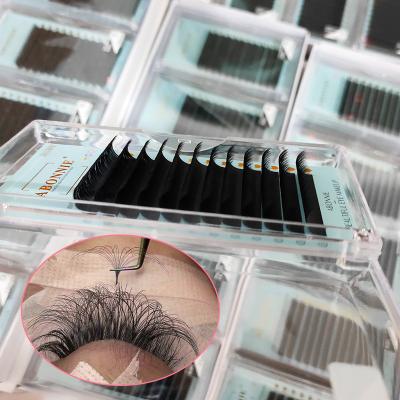 China 0.05 Pestaas CC D Professional Double Density Eyelash Extension 10mm 15mm 25mm Strand Natural Silk Extensions for sale