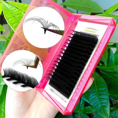 China Abonnie 007 Natural Wholesale 25mm DD Curl Fan 0.05 Flowering Auto Eyelash Extensions 12mm Flower Lashes 18mm for sale