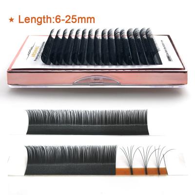 China Easy Abonnie fan of pbt eyelash 10mm eyelash extensions c d loop mink Siberian tray 16mm korean russian natural natural eyelash for sale