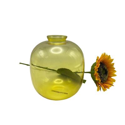 China New Fashion Modern Design Clear Glass Vase Set Table Decoration Glass Flower Vase for sale