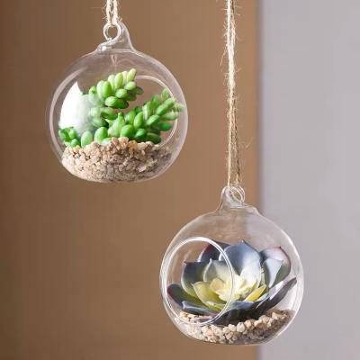 China Good Quality Eco - Friendly Top Selling Glass Ball Plants Hanging Hydroponic Vase for sale