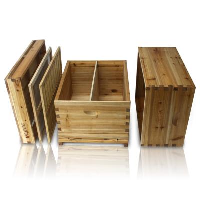 China Bee Farm 2 Layers Heaps Beekeeping Equipment Beekeepers Fir Hive Box Wooden Bee Hive for sale