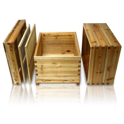 China 2 Layers Bee Farm Hoops Beekeeping Beekeepers Fir Box Wooden Beekeeping Equipment Beehive for sale