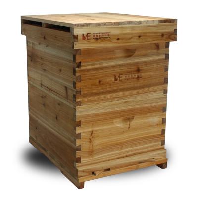 China Wooden Bee Farm Beekeepers Double Layer Box Fir Hives Beekeeping Bee Hive Equipment for sale