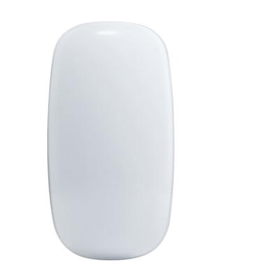 China BT Multi Touch 3D Flat Touch Magic Multi Roller Wireless Mouse For Windows Mac for sale