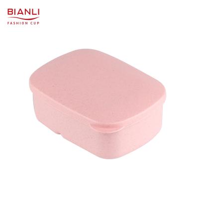 China Freshness Preservation Bento Box Customized Wheat Straw Insulated Disposable Biodegradable Sublimation Kids Lunch Box for sale